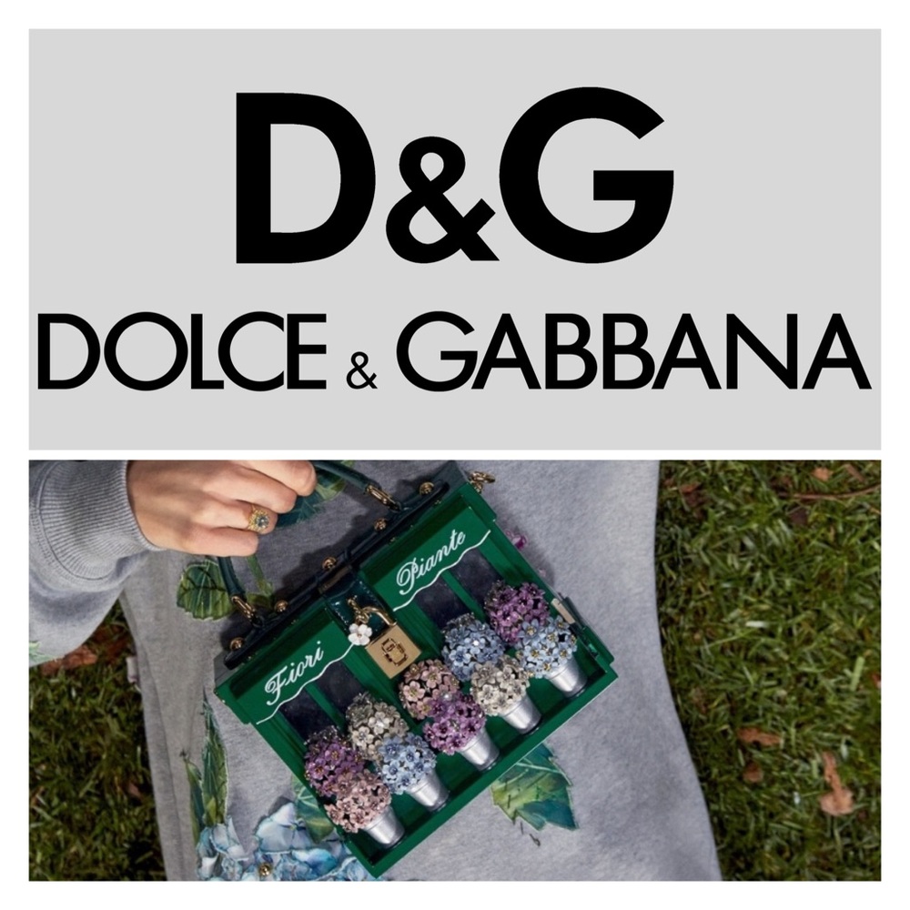 ISO Dolce & Gabbana Ortensia Box Bag